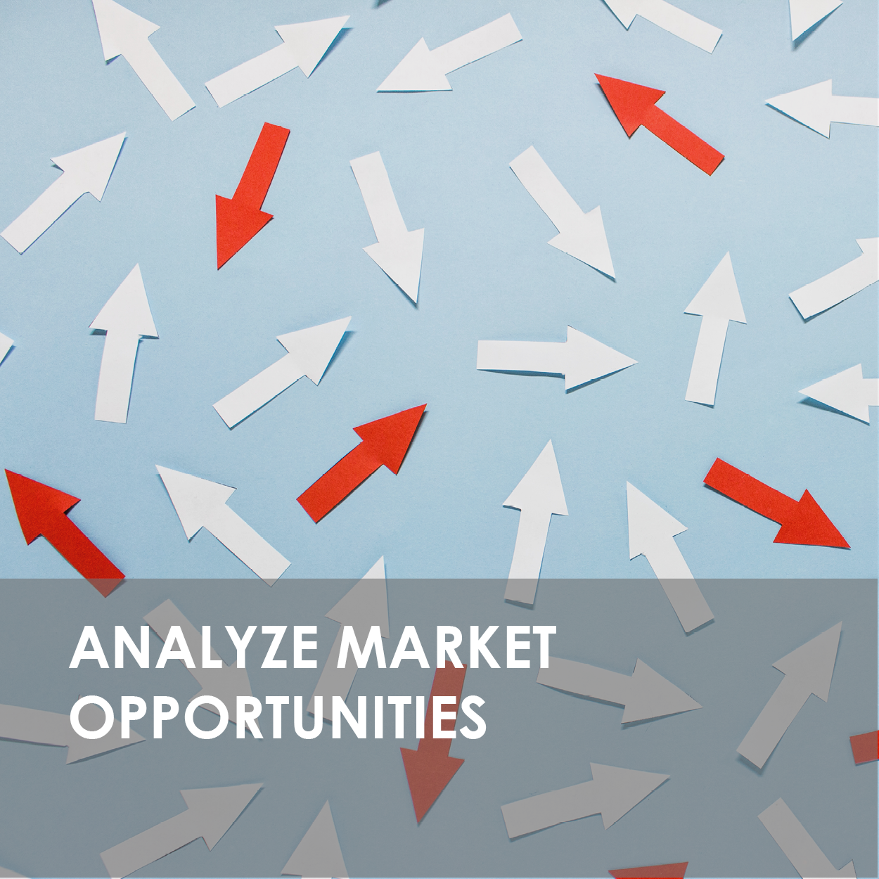 Market opportunities